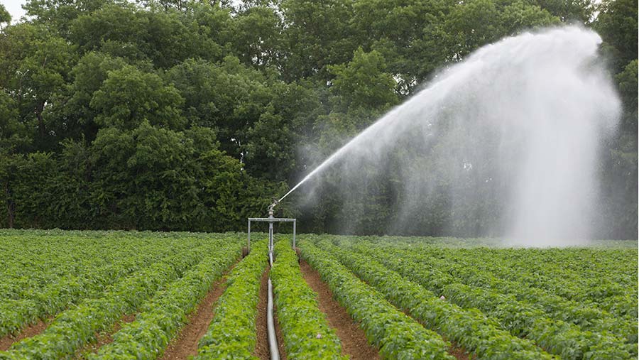 Ar vandens gręžiniai naudinga ūkio sektoriuje?